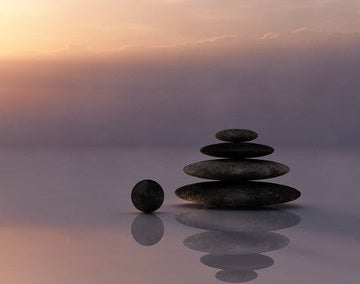 How to Start Your Wellness Journey