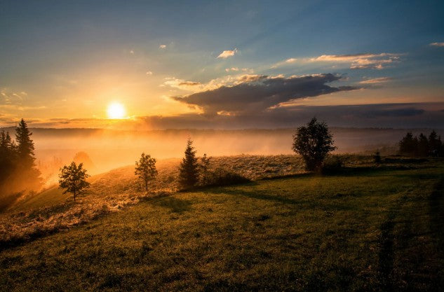 Best Morning Routines to Boost Daily Productivity